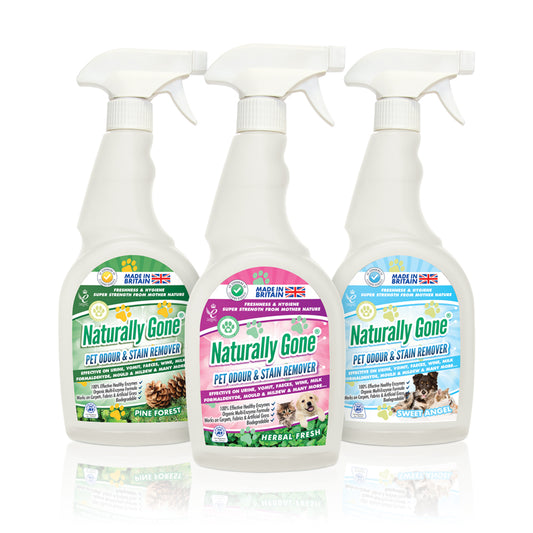Naturally Gone® Odour & Stain Remover Spray